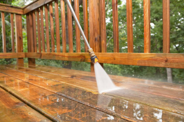 Best Animal Enclosure Cleaning  in Tavares, FL